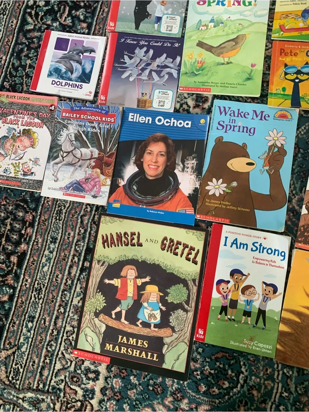 Scholastic and Assorted Children's Picture Softcover Books Bundle lot of 15